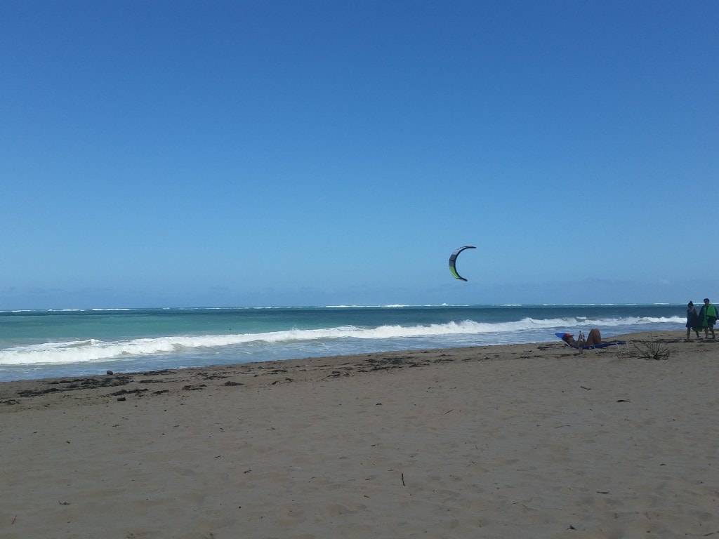 Watching the parasailers with Medalia on hand. 