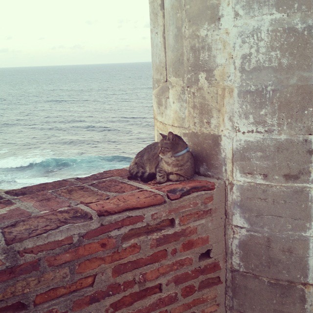 Guarding history.