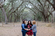 Wormsloe Historic Site, Spring 2017