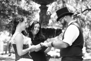 Lafayette Square Wedding, Spring 2016